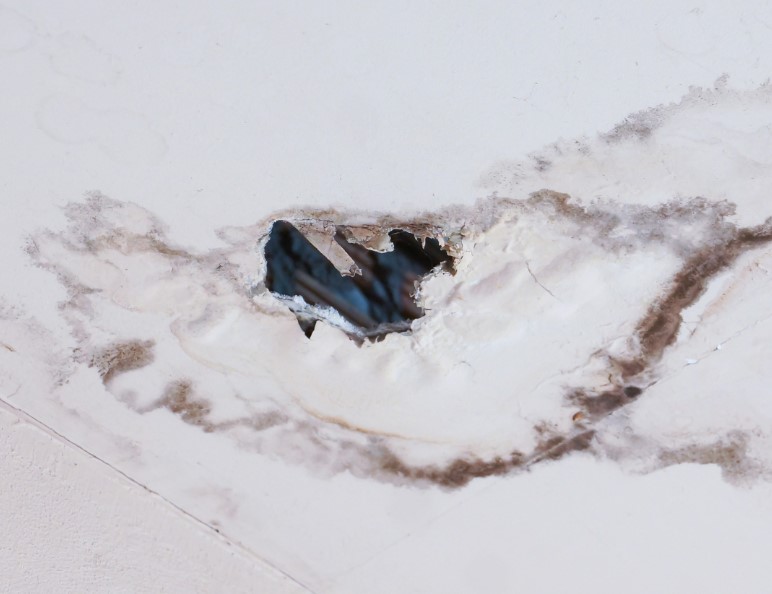 Identifying the Signs of Water Damage