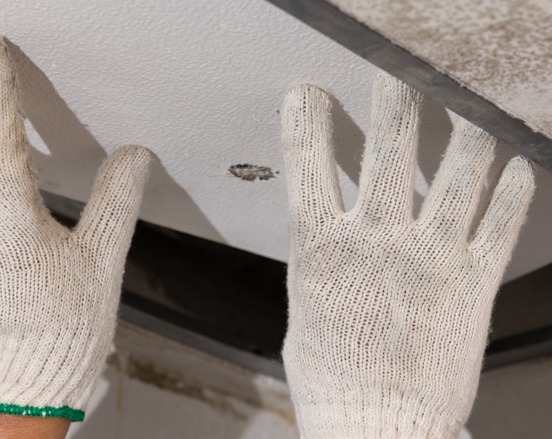 Steps to Take After Detecting Water Damage