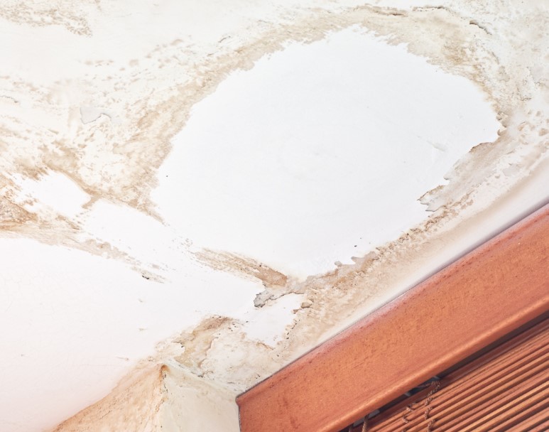 Signs of Water Damage On Ceilings