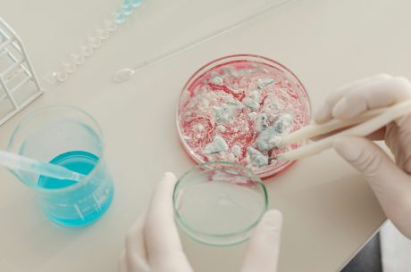 Mold Prevention and Remediation