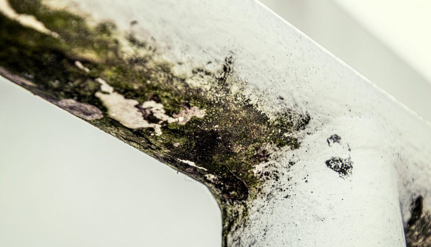 Recognizing and Overcoming Mold Problems in Your Michigan Home: A Comprehensive Guide