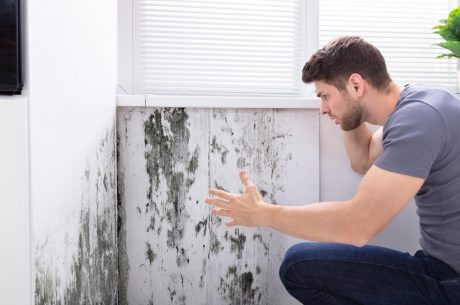 mold issues