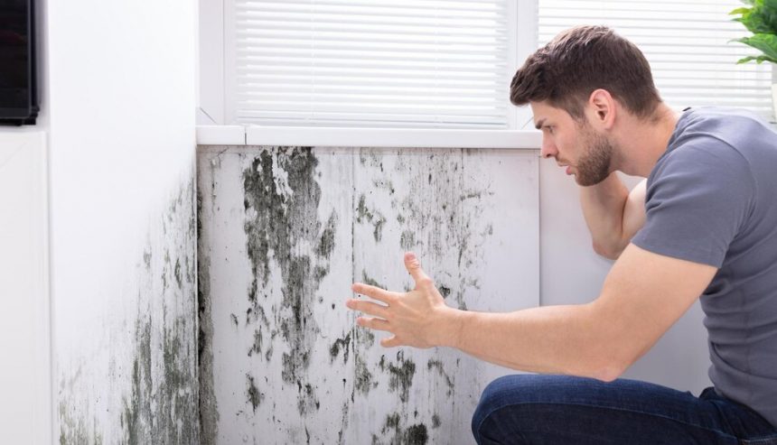 mold issues