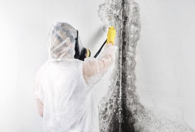 mold removal