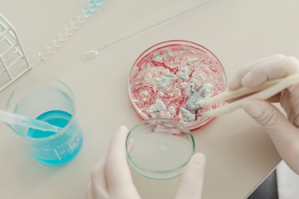 Mold Prevention and Remediation