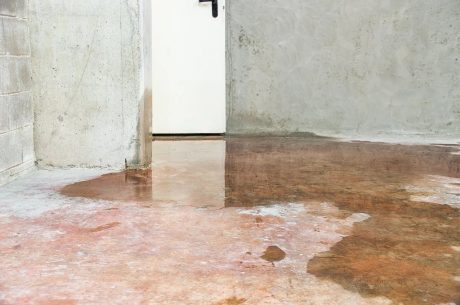 Undercover H2O: How to Find a Water Leak Underground Before It Soaks Your Wallet in Hunt Valley