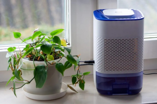 dehumidifiers next to a plant