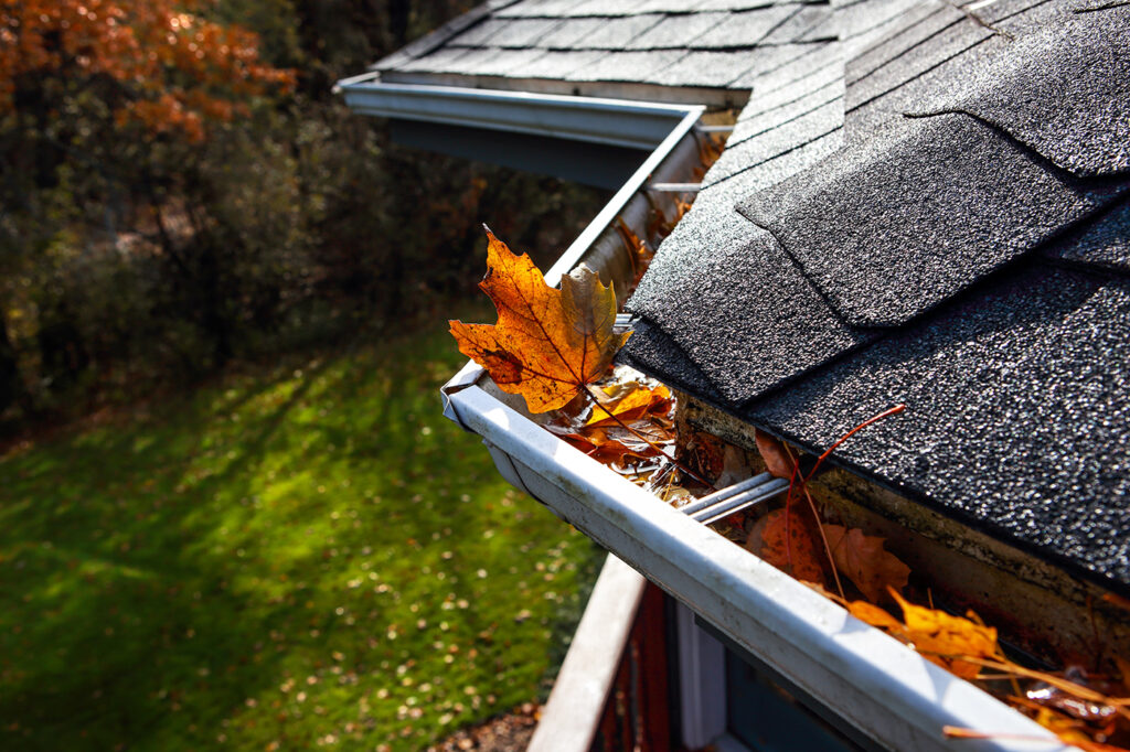 rain gutters full of leaves that need to be cleaned before springtime rain starts in long island