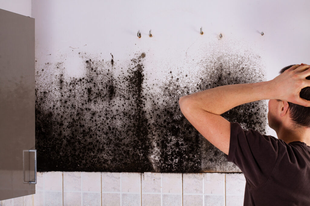 man shocked at mold in house in long island