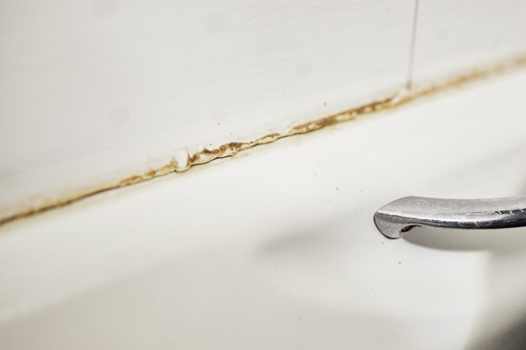 pink mold growing in shower
