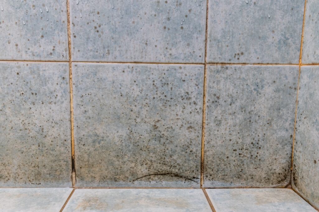 Mildew, dirty unhygienic mold growing on bathroom wall tile surface