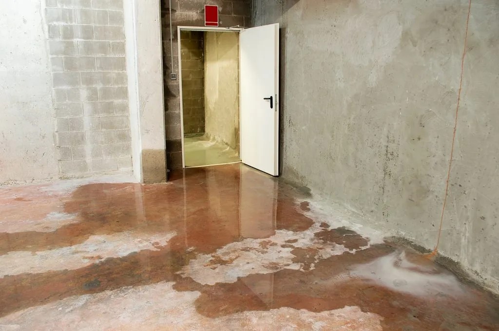 Water damage in basement caused by sewer backflow due to clogged sanitary drain. Basement mold may result after this incident.