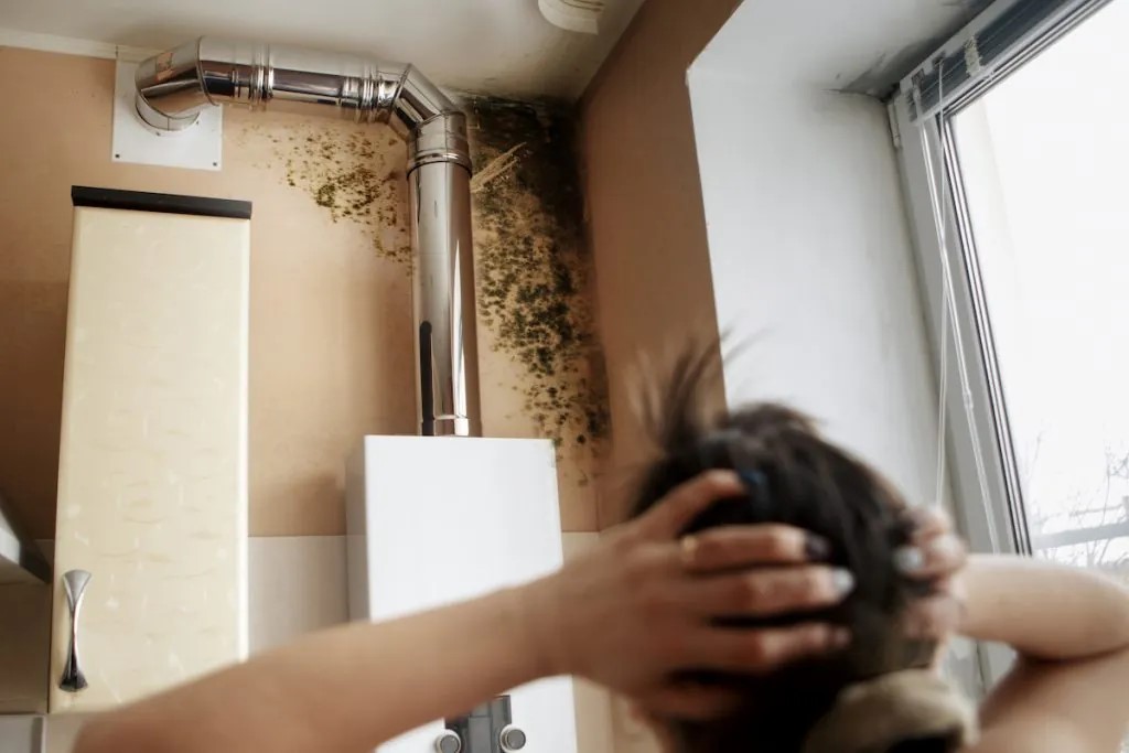 mold growth could be a sign of hidden water damage behind your walls