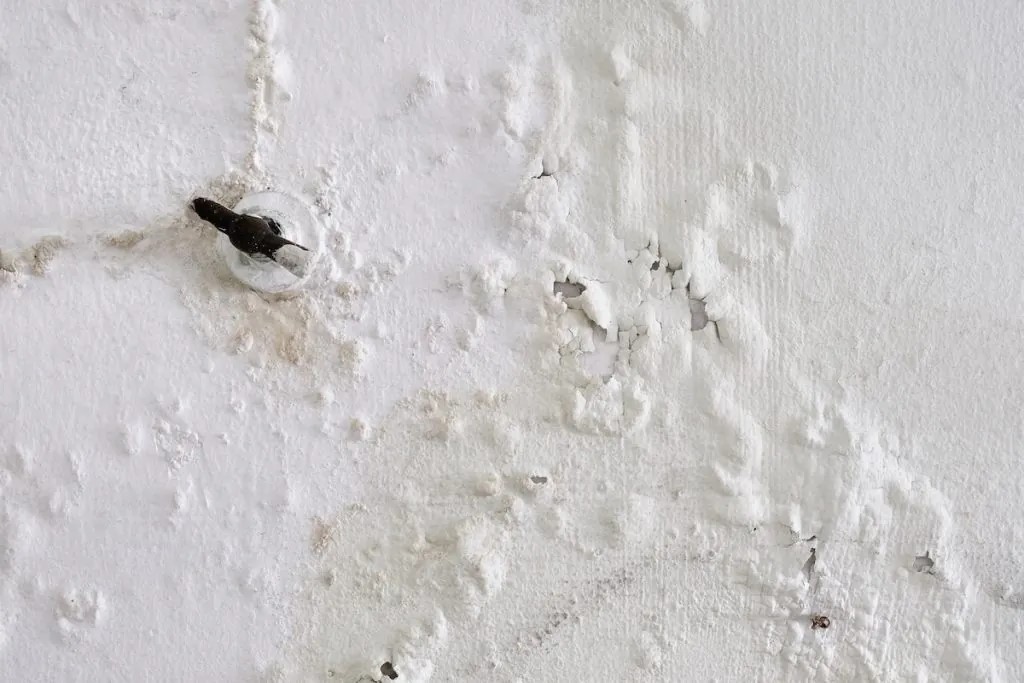 bubbles in paint can be a sign of hidden water damage in a home