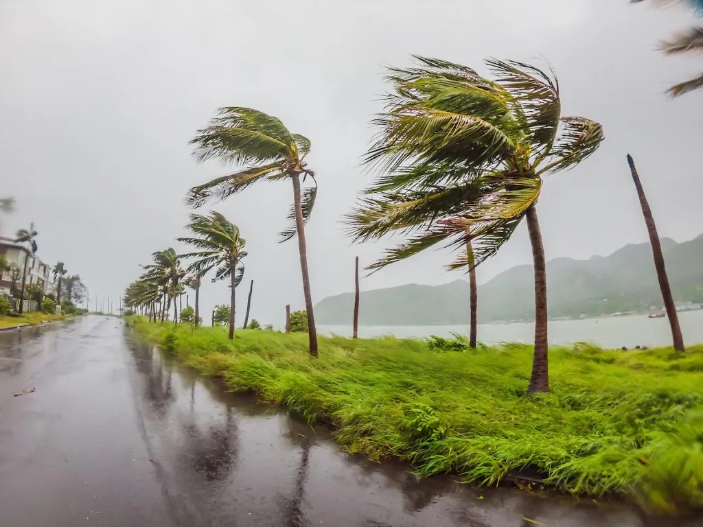 Summer storms can produce high-velocity winds that can impact your property.