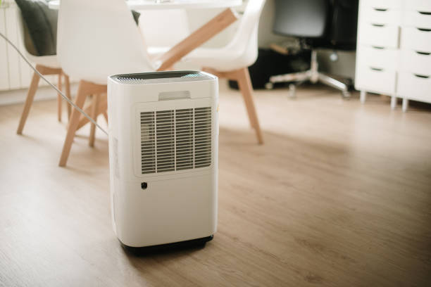 dehumidifier in a long island home helping keep moisture low