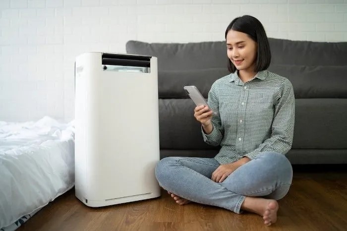 dehumidifiers can help reduce the musty smell in your baement