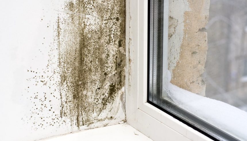 Black mold growth on a white wall near a window with condensation and peeling paint, showing the effects of moisture buildup in cold weather.