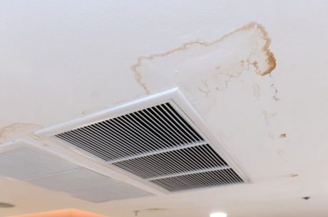 mildew on ceiling from water damage