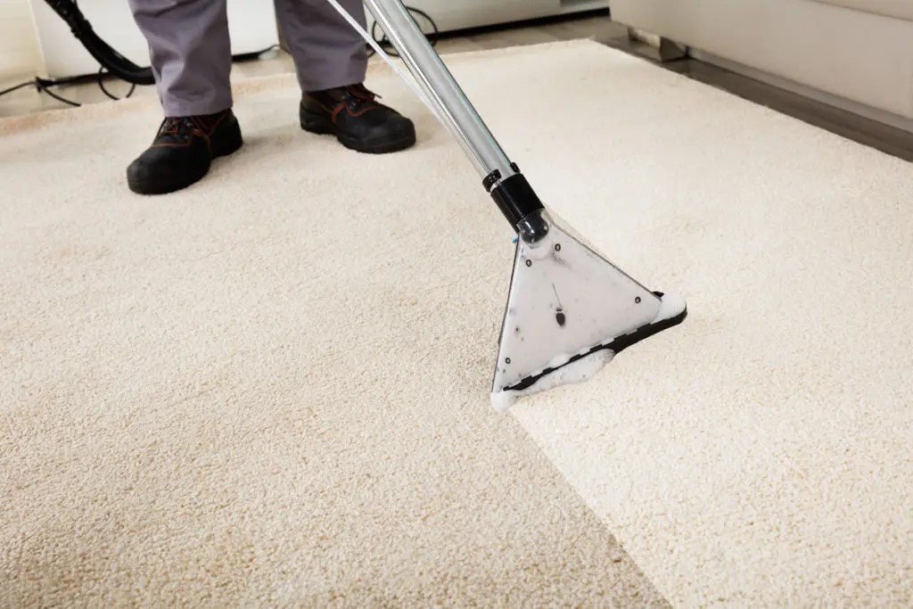 Mildew smell from carpets can be biohazard conditions. call a proffesional today to get rid of mold and mildew smells