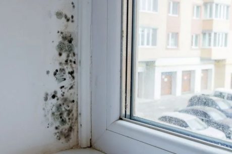 mold growing near a window in a rental property