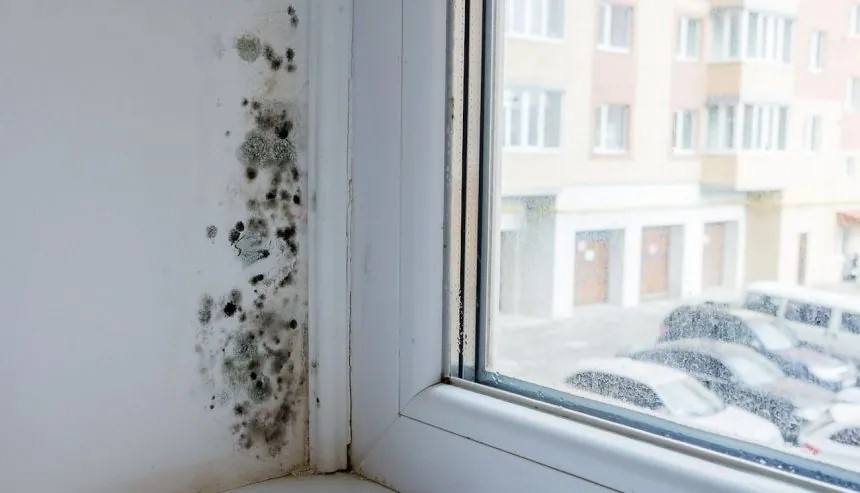 mold growing near a window in a rental property