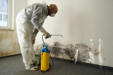 Puroclean technitian revoving mold from long island home