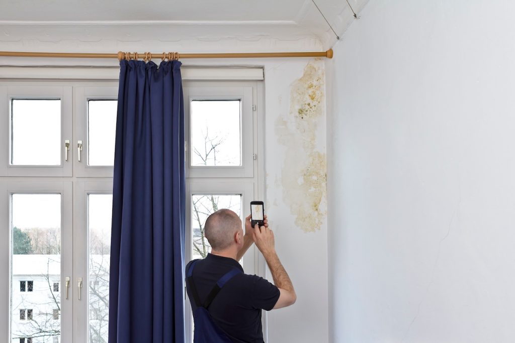 Man taking a photo of a big patch of mold or mildew growing behind the drapes of a white external wall in an old house. mold in a rental