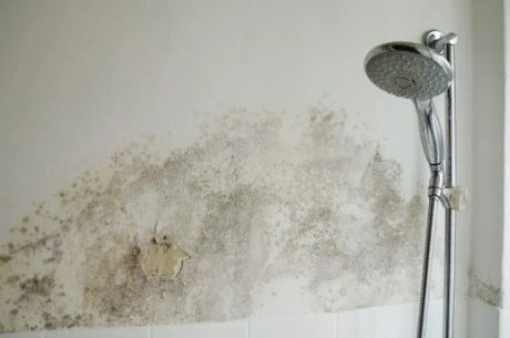 Bathrrom with water damage on walls in long island home