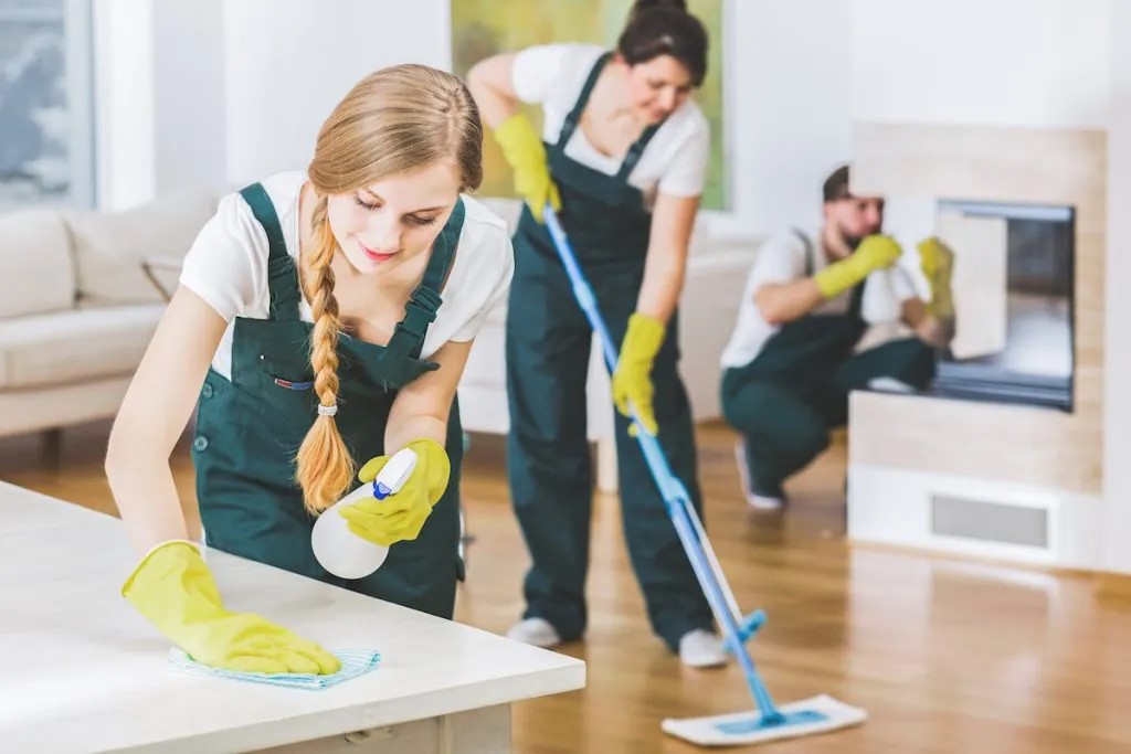 A professional restoration company can clean your counters with a damp microfiber cloth.