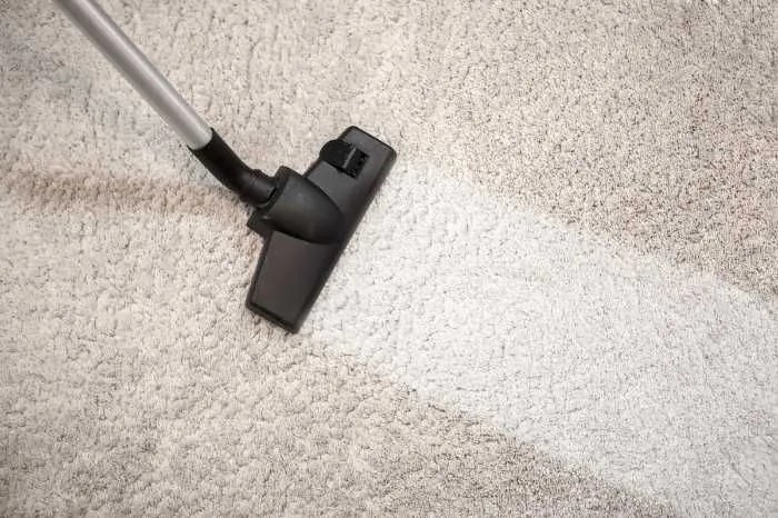Carpets can trap dust, mites, bacteria, pet dander and many other allergens.