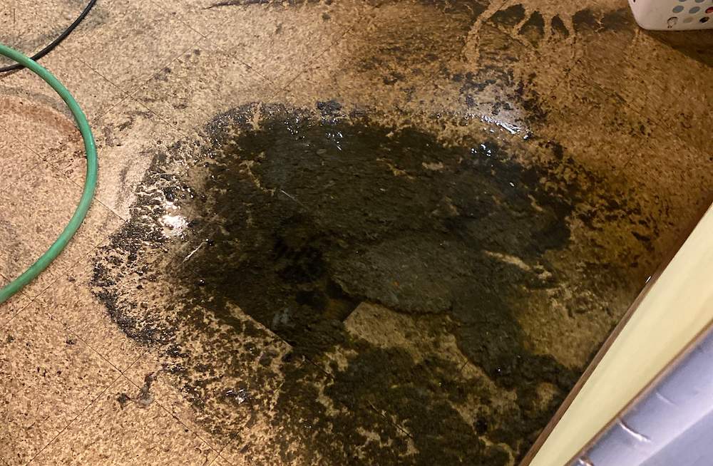 sewage backflow in a basement on a long island home