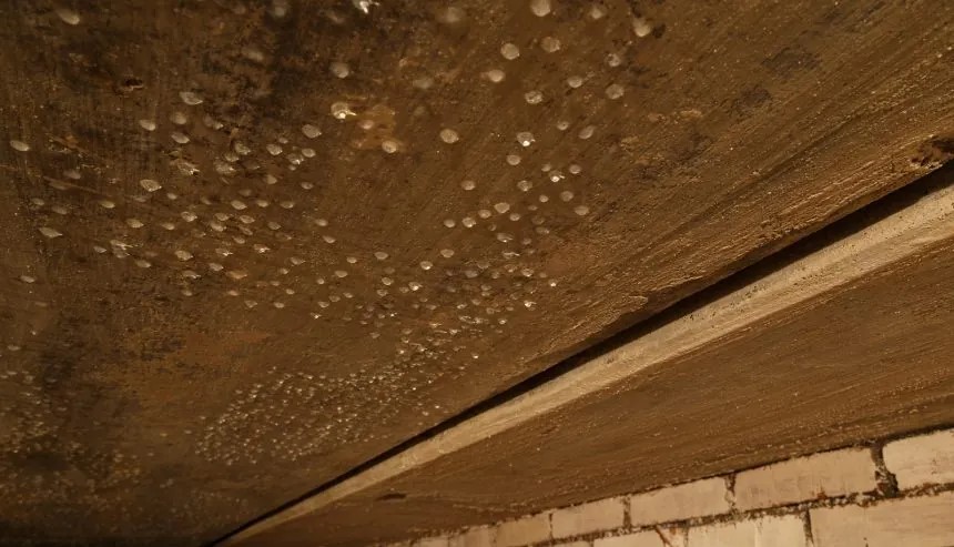 Water leaking through a basment causing flooding in a long island home. Prevention is the key to ensuring a safe home