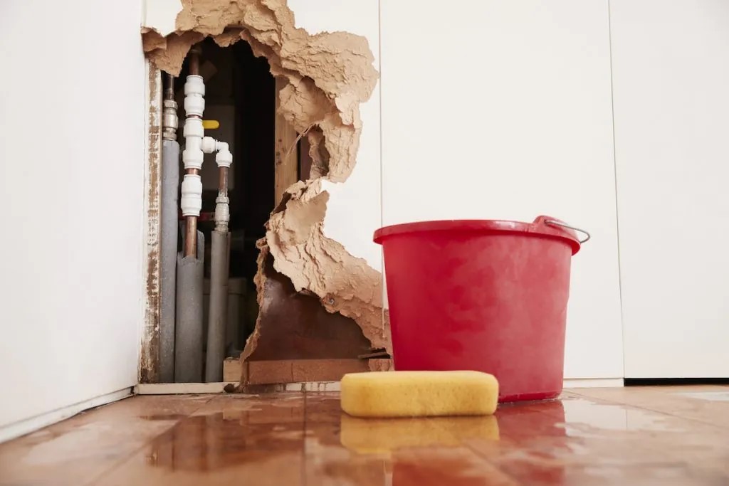 If you suspect water damage in walls, call a professional immediately!