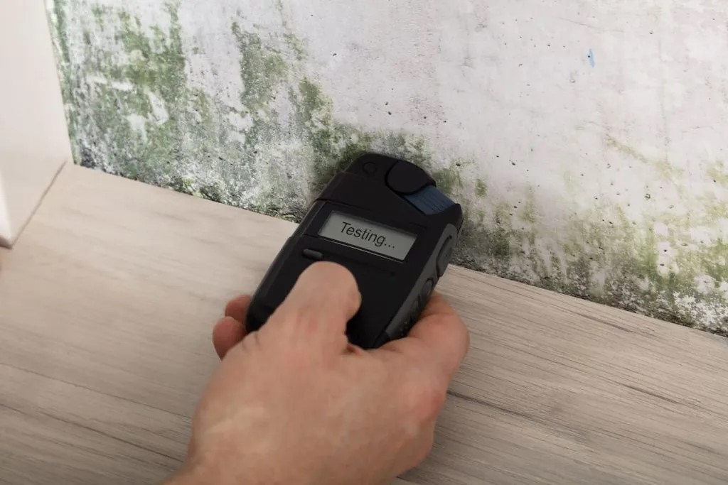A mold detector determining if there's mold on the wallpaper.