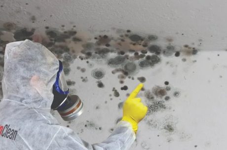 Puroclean of huntington technician inspecting mold in a home