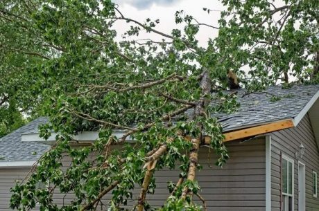broken tree branch that fell on a home in long island new york