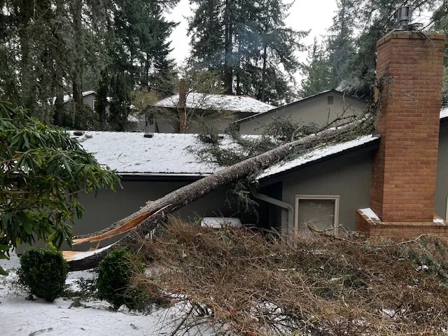 heavy slow and sleet knock over a tree onto a long island home