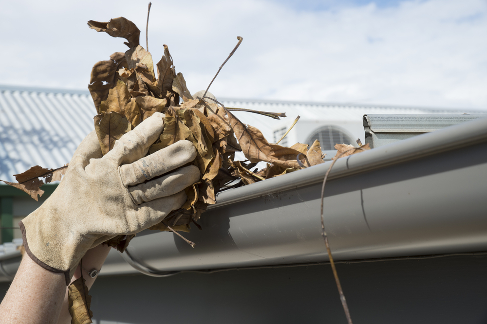 clogged gutters