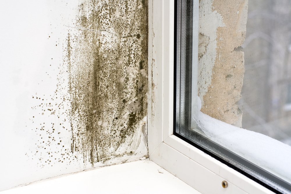Black mold growth on a white wall near a window with condensation and peeling paint, showing the effects of moisture buildup in cold weather.