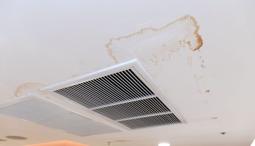 mildew on ceiling from water damage