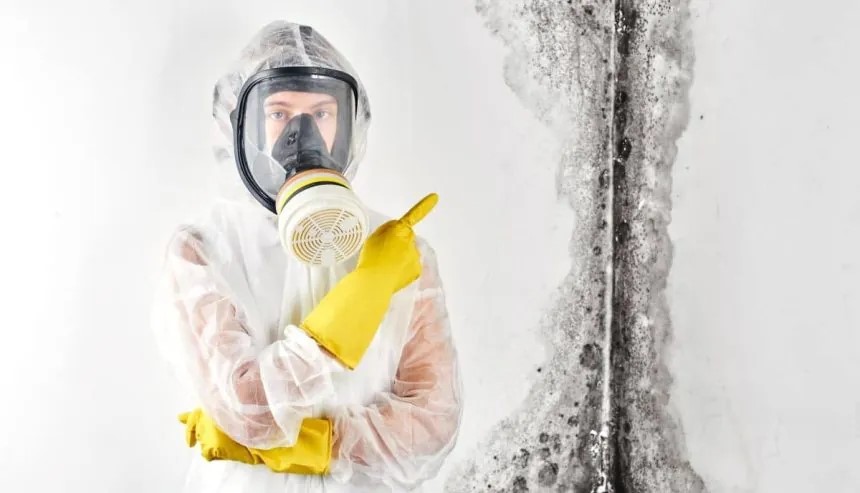 puroclean technician stands by black mold in a home on long island