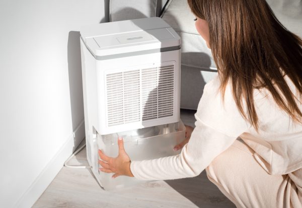 Dehumidifier