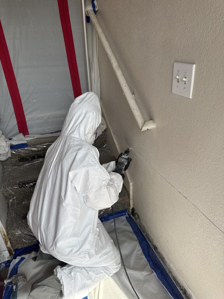teamCertified mold removal in Pflugerville - project
