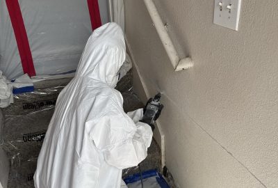 Certified team doing a mold removal Pflugerville- project