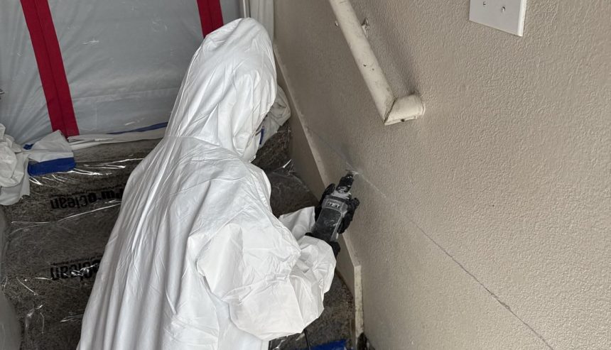Certified team doing a mold removal Pflugerville- project