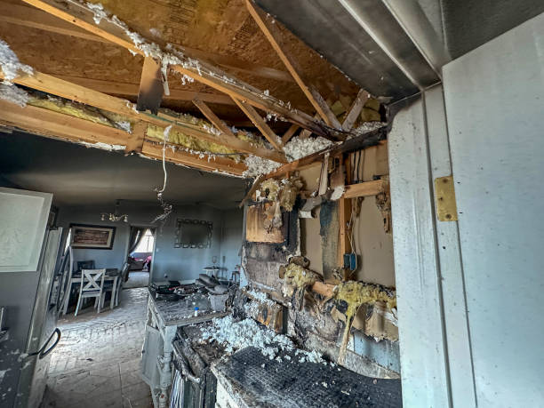 odor removal in Sammamish