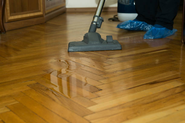 24 hour water cleanup in sammamish
