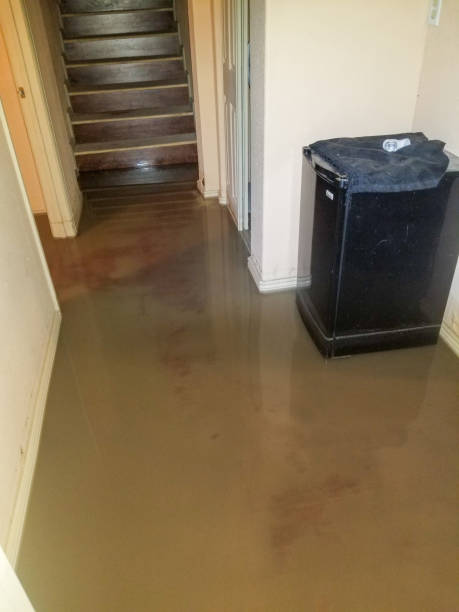 /24-hour-water-cleanup-in-sammamish/
