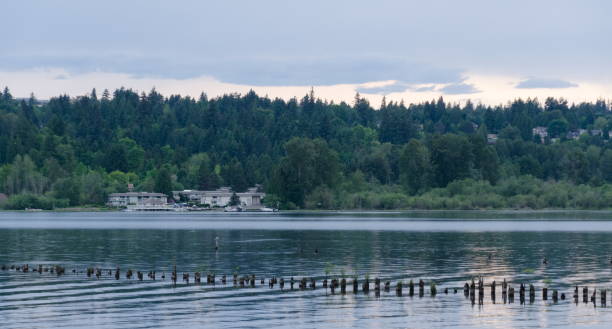 sammamish flooding